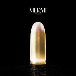 Album cover of Mermi