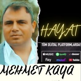 Album cover of HAYAT