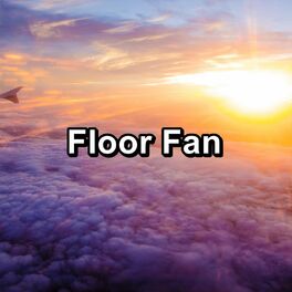 Album cover of Floor Fan
