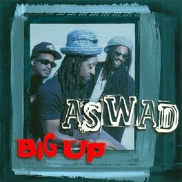 Album cover of Big Up