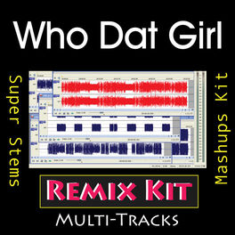 Album cover of Who Dat Girl (Multi Tracks Tribute to Flo Rida feat Akon )