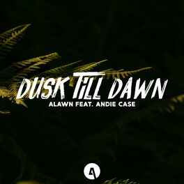 Album cover of Dusk Till Dawn (feat. Andie Case)