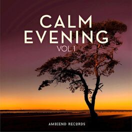 Album cover of Calm Evening (Vol 1)
