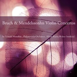 Album cover of Bruch & Mendelssohn: Violin Concertos