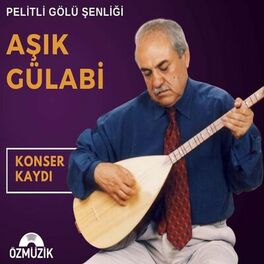 Album cover of Pelitli Göl Şenliği Konser Kaydı