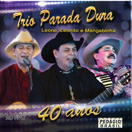 Album cover of Trio Parada Dura 40 Anos (Ao Vivo)