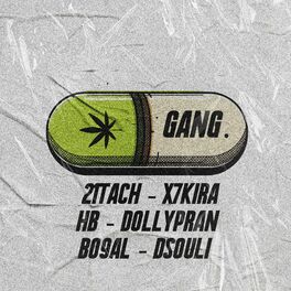 Album cover of Gang.