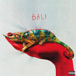 Album cover of BALI