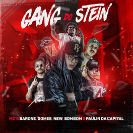 Album cover of Gang do Stein