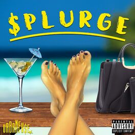 Album cover of $plurge