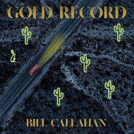 Album cover of Gold Record