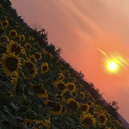 Album cover of Yellow (Ft. Lizzy McAlpine)