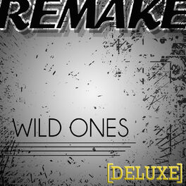 Album cover of Wild Ones (Flo Rida feat. Sia Deluxe Remake)