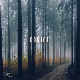 Album cover of Códice