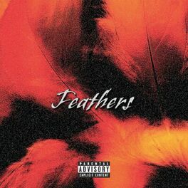 Album cover of Feathers