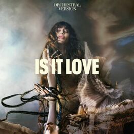 Album cover of Is It Love (Orchestral Version)