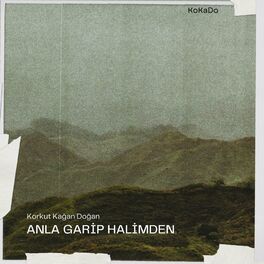 Album cover of Anla Garip Halimden (feat. Özgür Can Çoban)