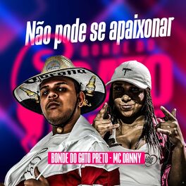 Album cover of Não Pode Se Apaixonar (Brega Funk)