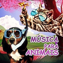 Album cover of Música para Animais – Caes e Gatos, Música para Relaxar, Sons da Natureza, Música Instrumental, Música para Redução do Estresse