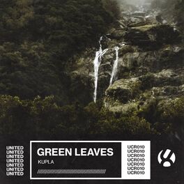 Album cover of Green Leaves