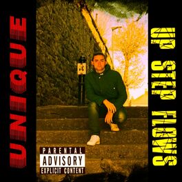 Album cover of Up Step Flows