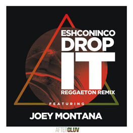 Album cover of Drop It (Reggaeton Remix)