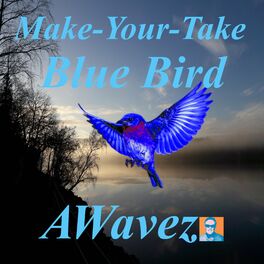 Album cover of MakeYourTake Blue Bird