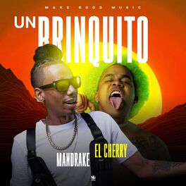 Album cover of Un Brinquito