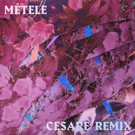 Album cover of Métele (Cesare Remix)