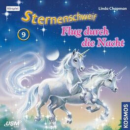Album cover of Teil 9: Flug durch die Nacht