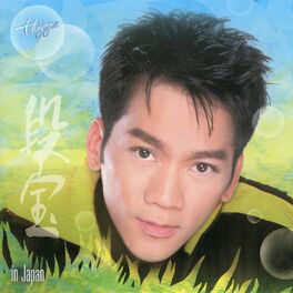 Album cover of The Best of Don Hồ in Japan