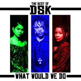 Album cover of The Best Of - What Would We Do