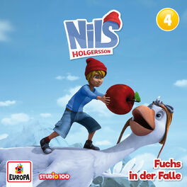 Album cover of 04/Fuchs in der Falle (CGI)