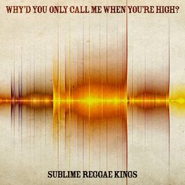 Album cover of Why'd You Only Call Me When You're High?