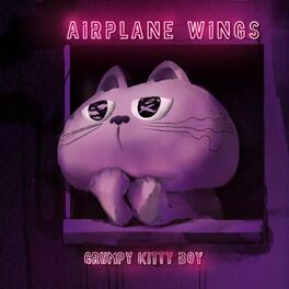 Album cover of Airplane Wings
