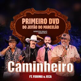 Album cover of Caminheiro (Ao Vivo)