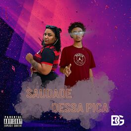 Album cover of SAUDADE DESSA PICA