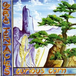 Album cover of Curious Corn