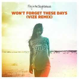 Album cover of Won't Forget These Days (VIZE Remix)