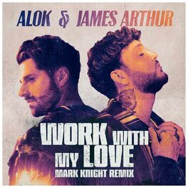 Album cover of Work With My Love (Mark Knight Remix)