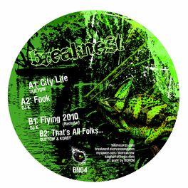 Album cover of Breaknest Records 04