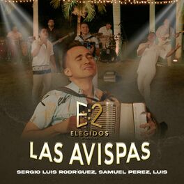 Album cover of Las Avispas (Elegidos)