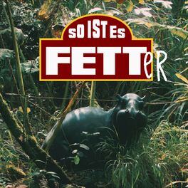 Album cover of (so ist es) Fetter