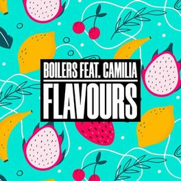 Album cover of Flavours (feat. Camilia)