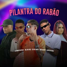 Album cover of Pilantra do Rabão
