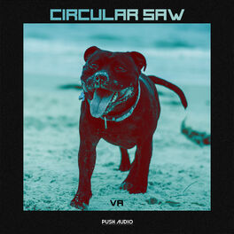Album cover of Circular Saw