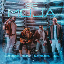 Album cover of Se Moja