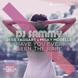 Album cover of Have You Ever Seen the Rain