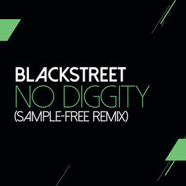 Album cover of No Diggity (Sam Wilkes & Brian Green Sample Free Remix)
