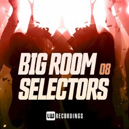 Album cover of Big Room Selectors, 08
